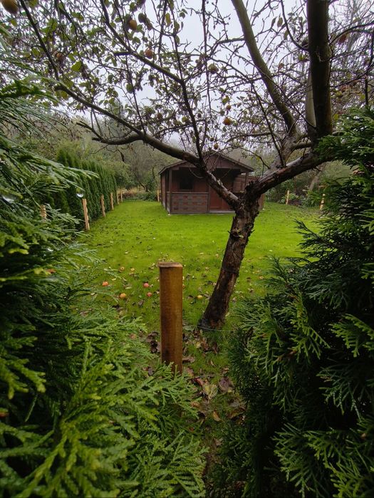 Sprzedaż działki ROD na Księcia Józefa