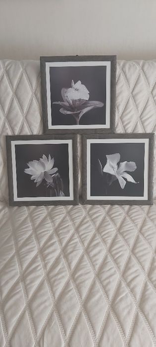 Продам набор картин