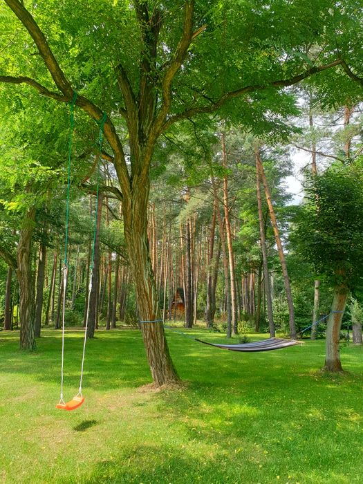 Wynajem sezonowa apartament