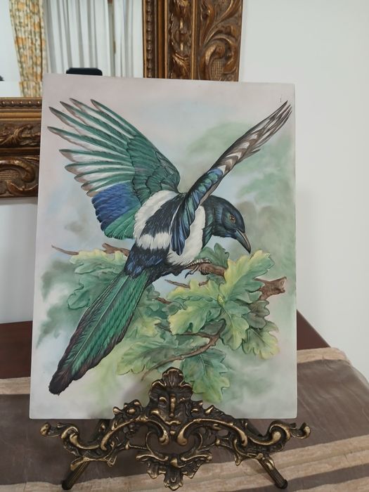 Passaro Vista Alegre