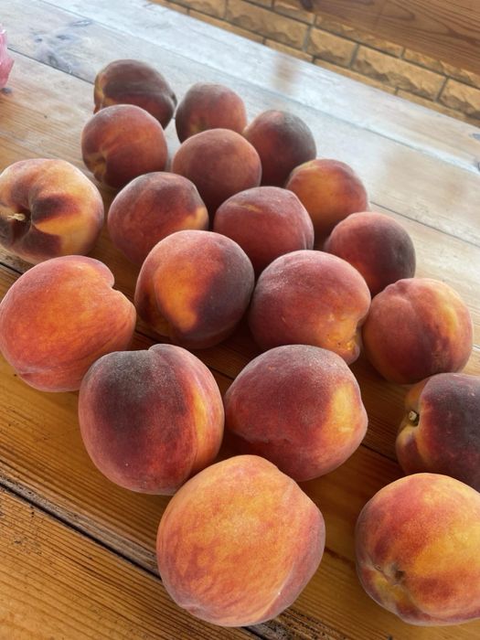 Дача с новым домом. Выход на реку и в лес Орловщина