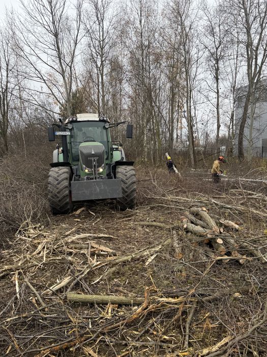 Przygotowanie terenu pod budowę | czyszczenie działek | mulczer|Rebak