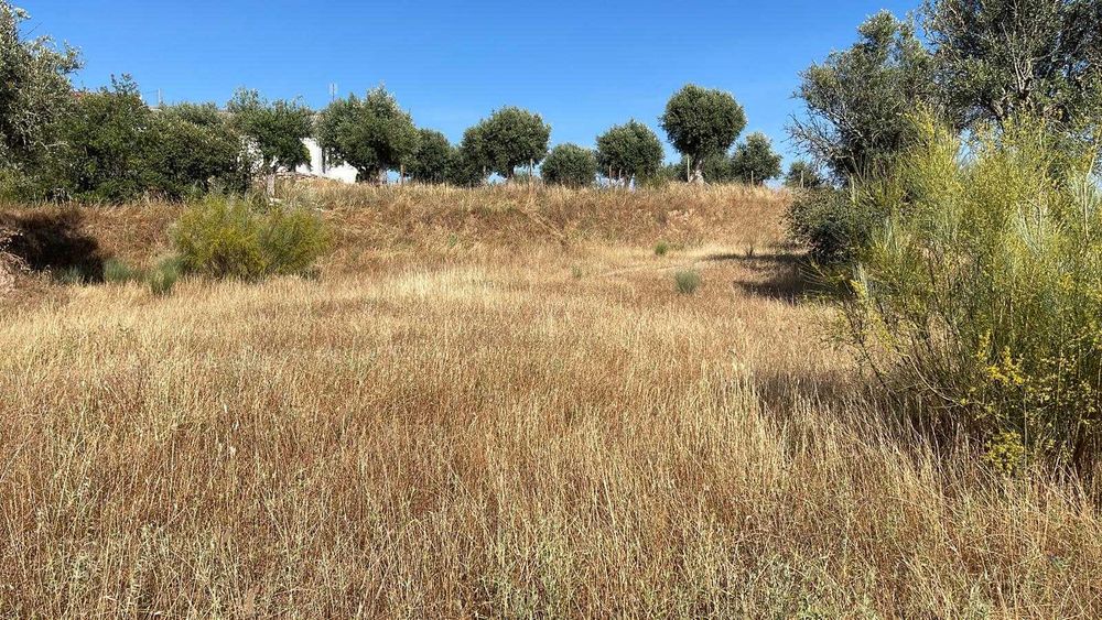 Terreno Urbano em Avis