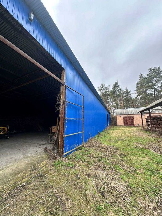 Продам Будинок,землю,с. Гречаники, Переяславський р-н/під виробництво