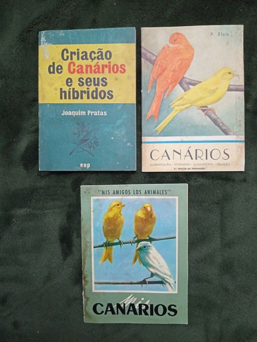 3 livros sobre canários	anos 60	muito raros!	Exemplares unicos