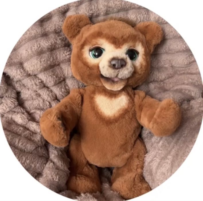 мішка каббі