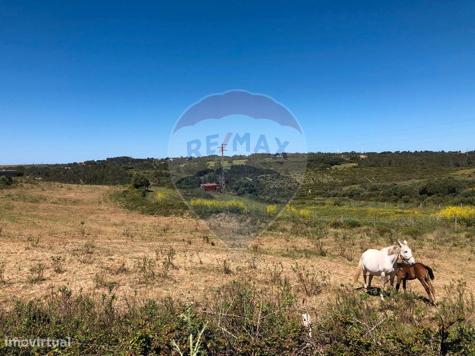 Terreno  para venda