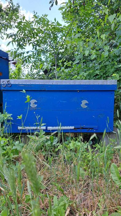 Ульи лежаки  б/у в хорошем состоянии