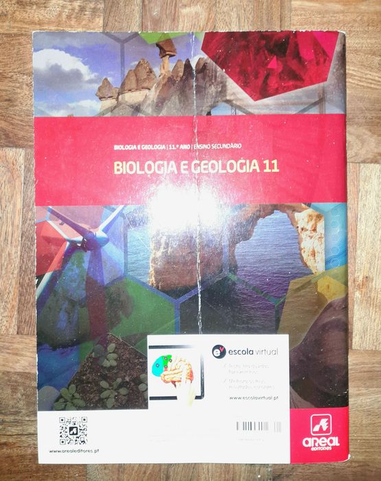 Caderno de Atividades BG11 - Areal