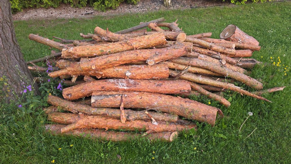 Sprzedan drewno sosna na opał