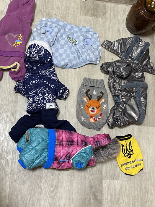 Собачій одяг для собак