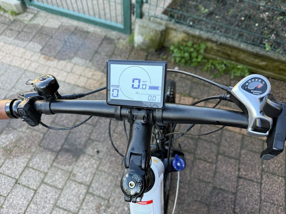 Rower elektryczny Eleglide Step Thru T1