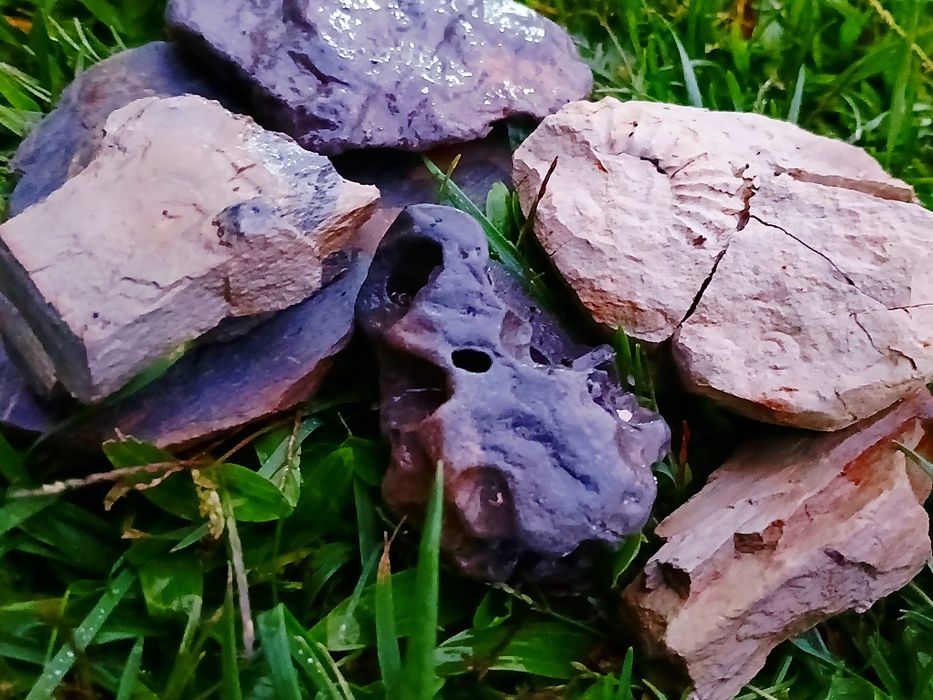 Aquário para répteis (tartaruga, etc)