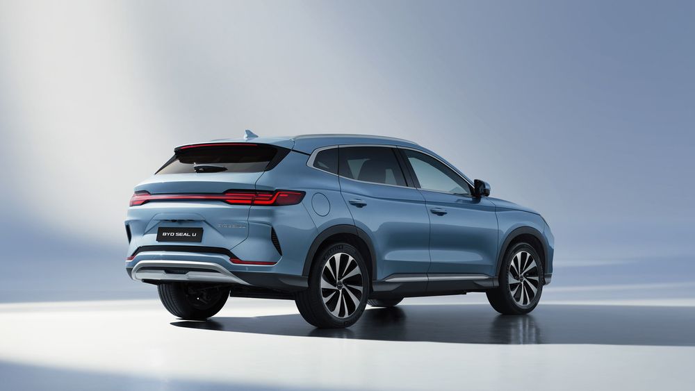 Zdjęcie w galerii numer 5