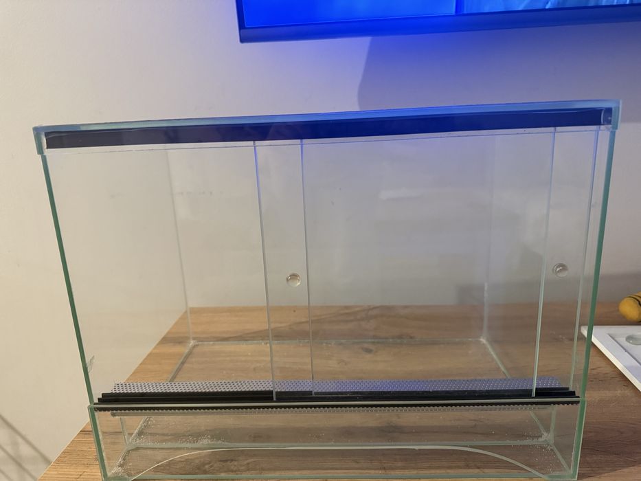 Terrarium dla malego gada