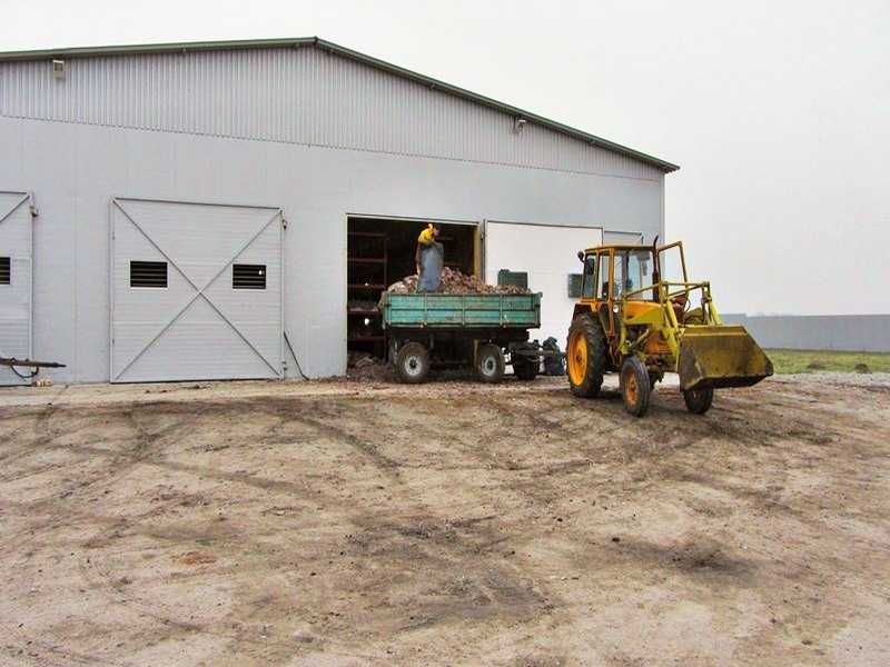 Агропромисловий комплекс по вирощуванню грибів.