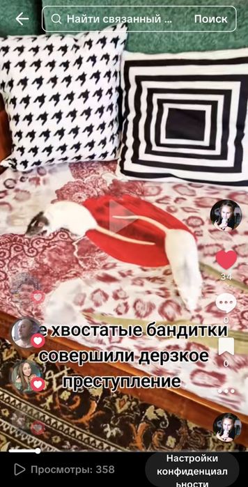 Щурики- зірки тік-тока + велика клітка