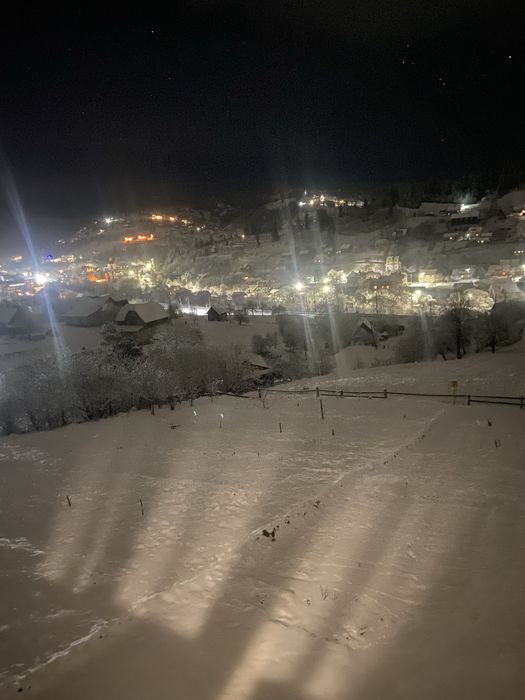 Приватна садиба на 6 осіб!!! VALISOVA KHATA