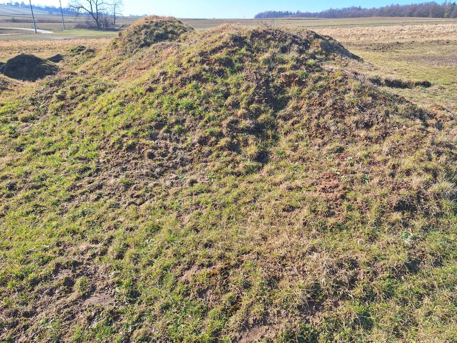 Oddam za darmo ziemię