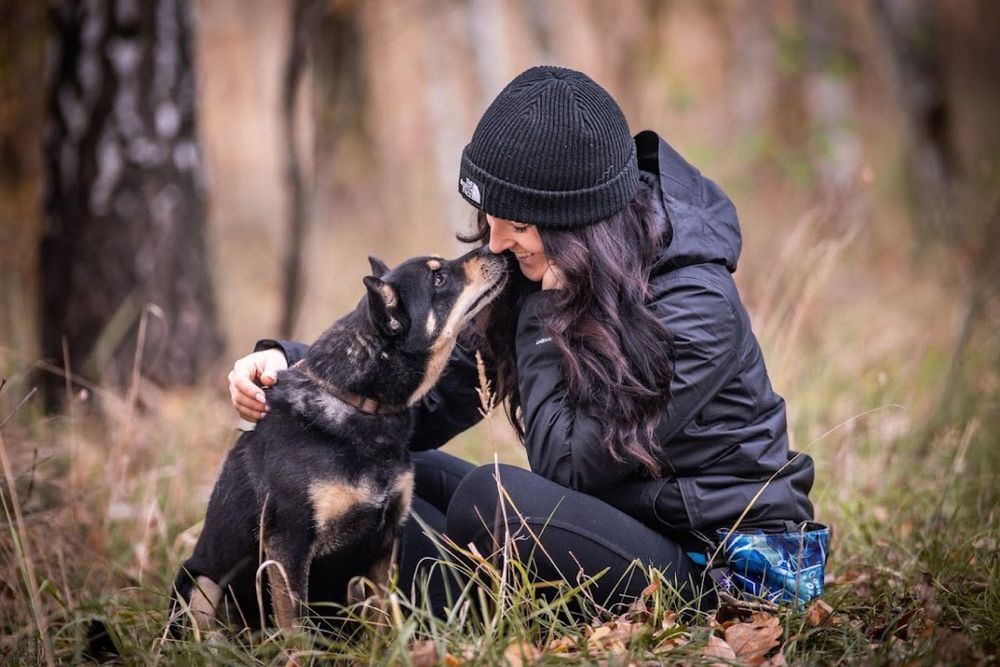 Czarny, superowy kundelek!Charakterny i oddany.Adopcja psa w potrzebie