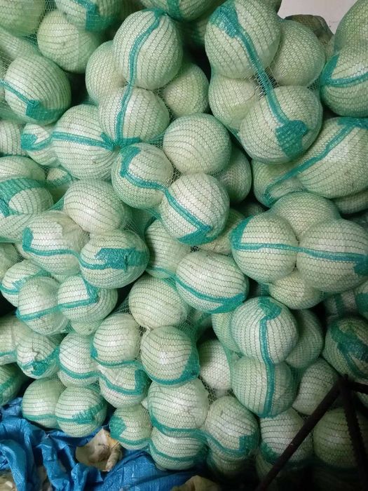 Продам капусту , сорт Еспект , є великий обʼєм,