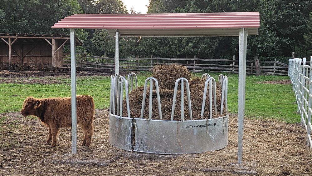 Pasnik 12 stanowiskowy dla bydła dla koni, karmnik, kosz do bele