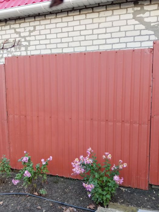 Забор проффнастил 250×2