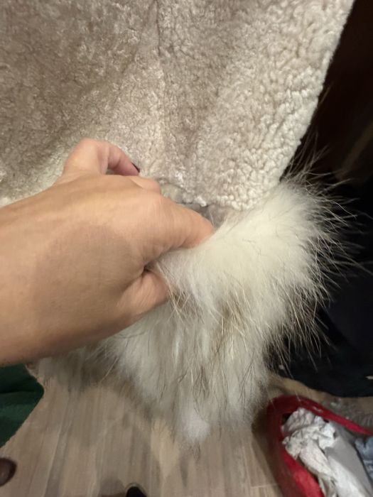 Colete pele de ovelha e raposa