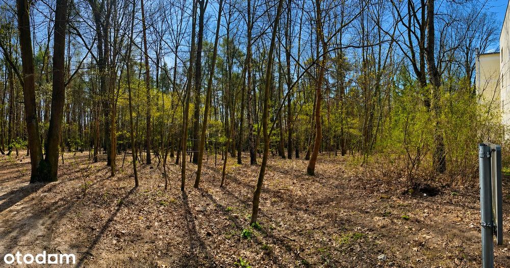 Działka Anin | 2032 m² | przy lesie | działka objęta MPZP