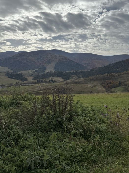 Продається 20 сотих в с. Подобовець