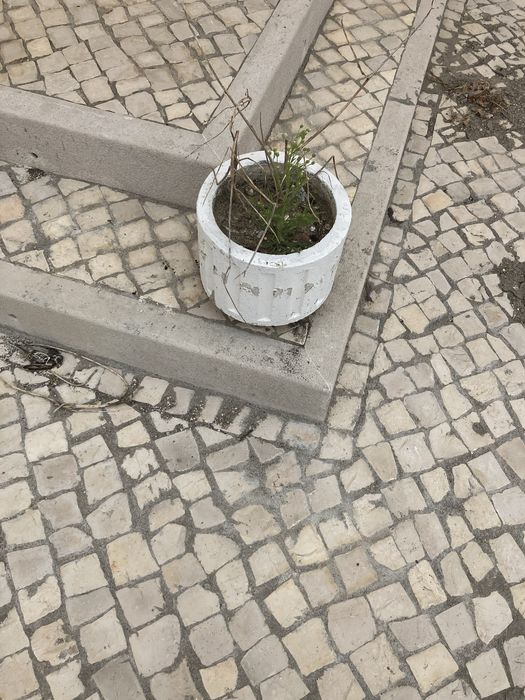 1 Vaso de Cimento usado