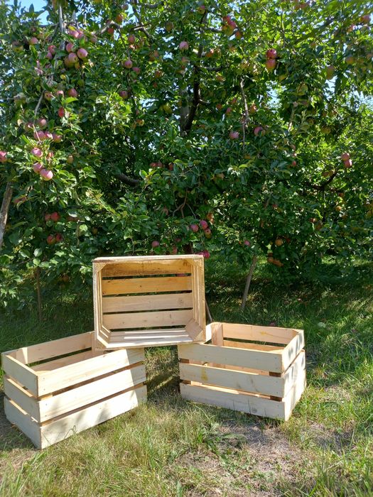 Ящик дерев'яний для яблук