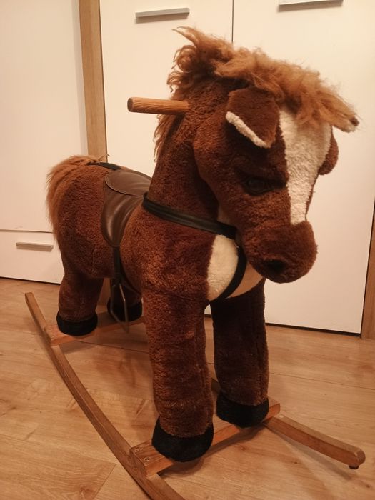 Koń na biegunach
