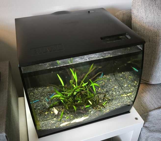 Aquário Fluval Flex 34 litros preto