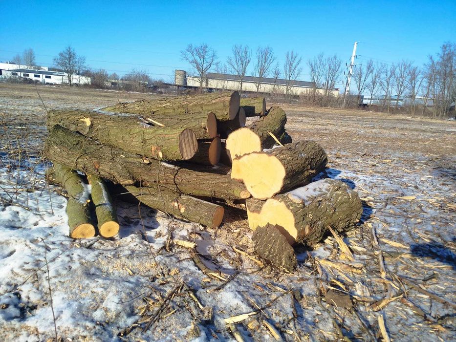 Drewno opałowe / kominkowe / wałki / owocowe / klon