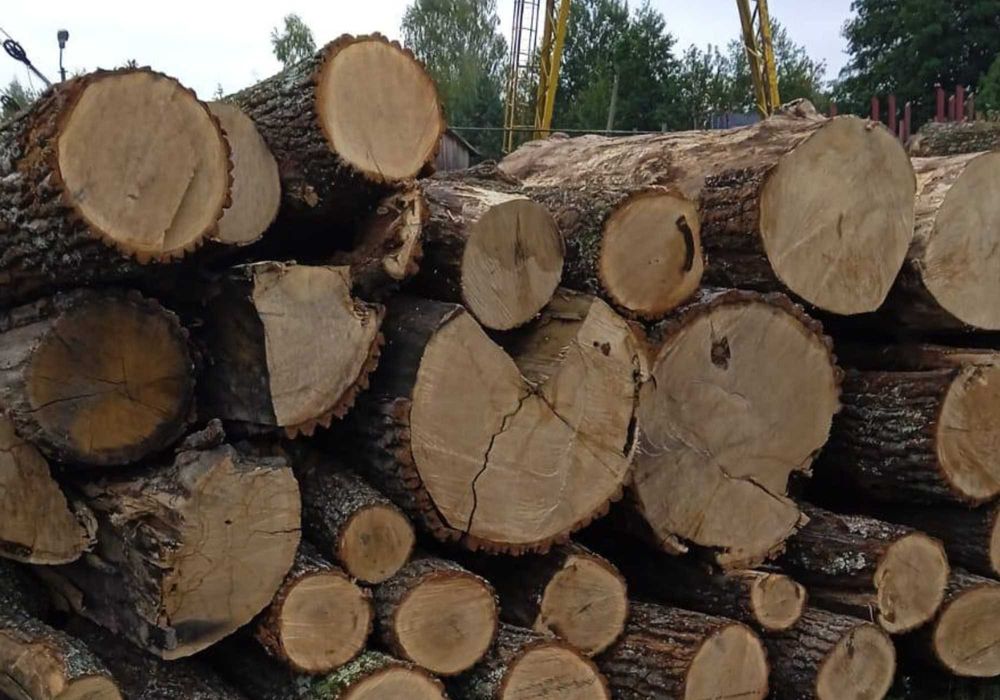 Продаж дров на зиму • Колоті, сухі, Акаця дліна 21-25 см ,мелкий покол