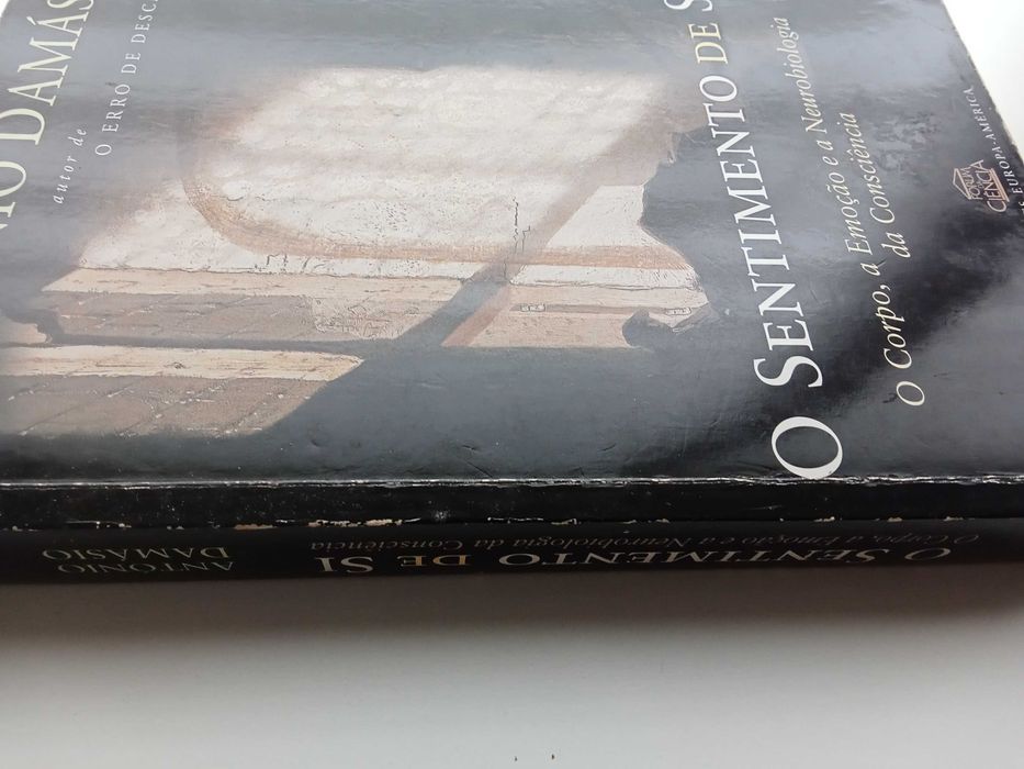 António Damásio - O sentimento de si