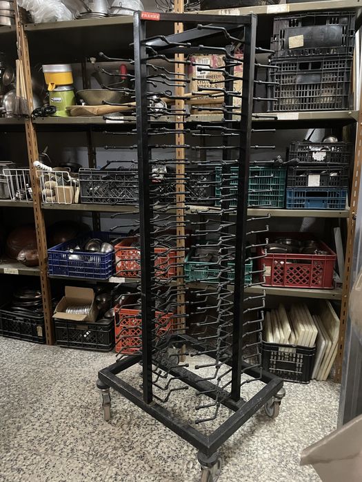 Aranha Frank 100 pratos