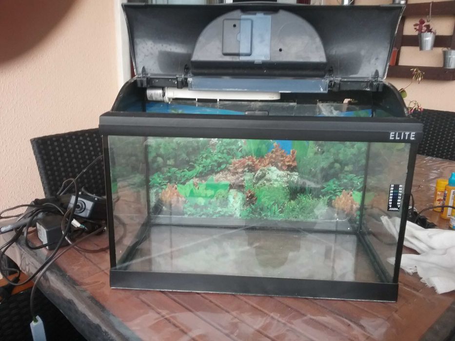 02 aquarios totalmente equipados