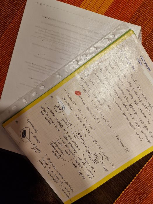 Notatki materiały matura biologia Anatomia i fizjologia ogólna