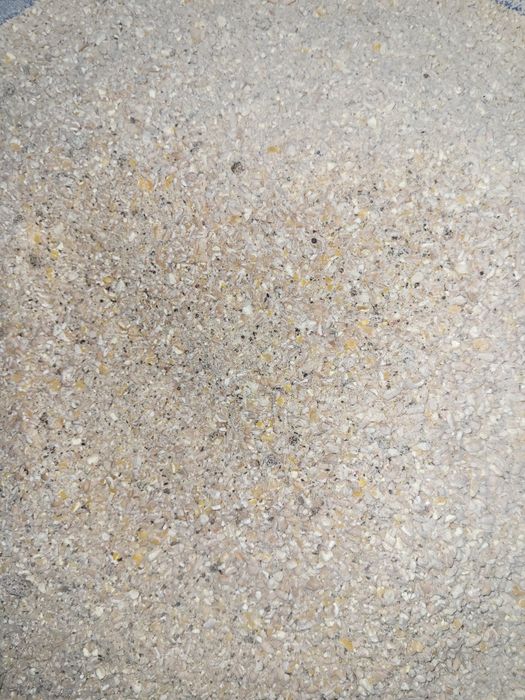 Śruta dla kur, własna kompozycja, bez GMO