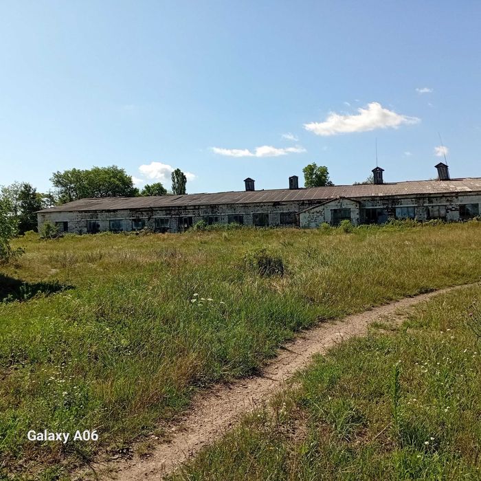 Оренда приміщення, продаж, розстрочка, сушка деревини. 1800кв.