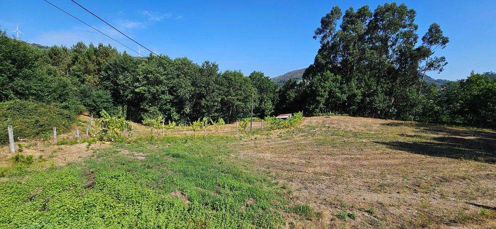 Terreno agrícola com 8.700 m² em Basto (S. Clemente), Celorico de Basto