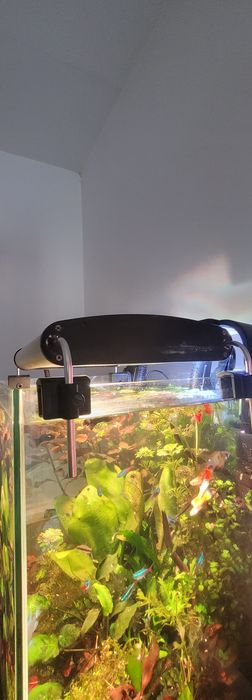 Lampa oświetlenie akwarium Zetlight G300 sterownik iOZEAN