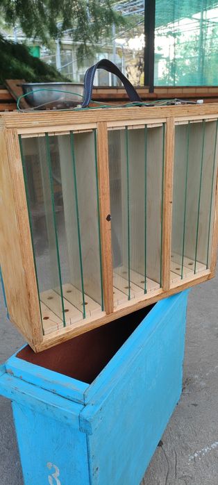 Аппарат для сбора пчелиного яда. Ядосборник