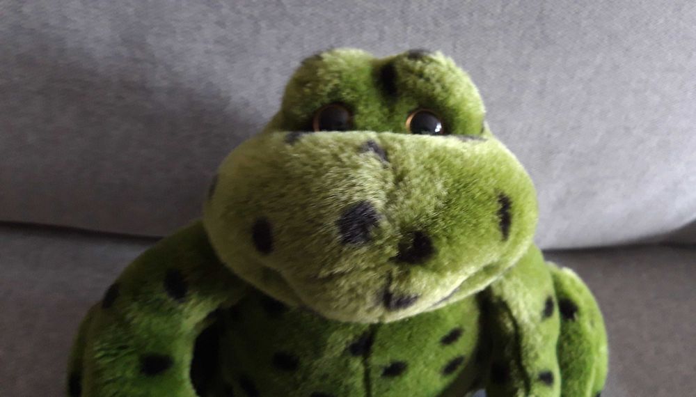 Peluche Sapo para criança