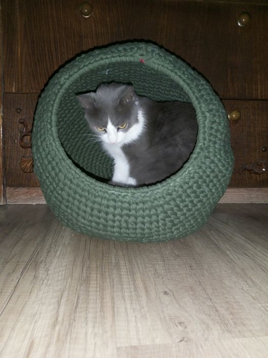 Дом, лежанка, для кота или собачки