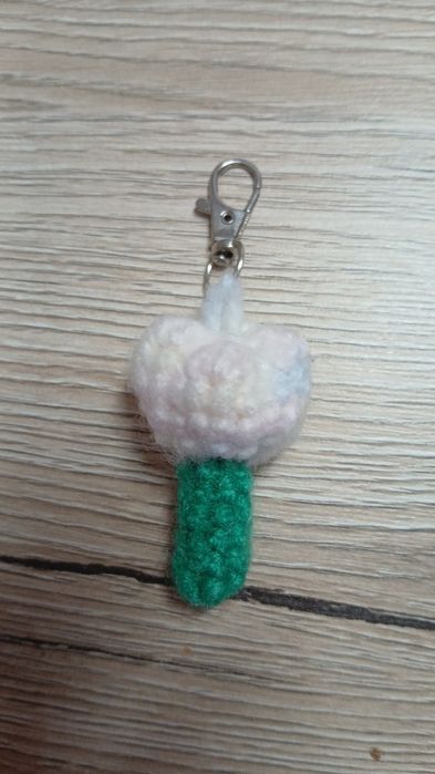 Tulipan tęczowo pastelowy