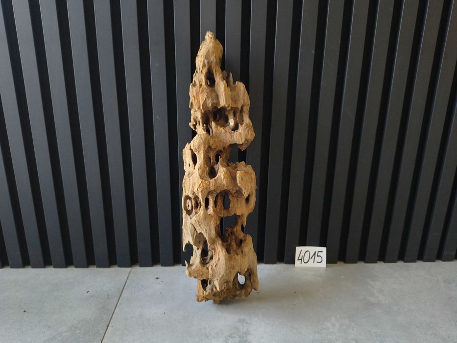 korzeń Driftwood Dragonwood 4015 DZIURAWY akwarium terrarium 50x14x12