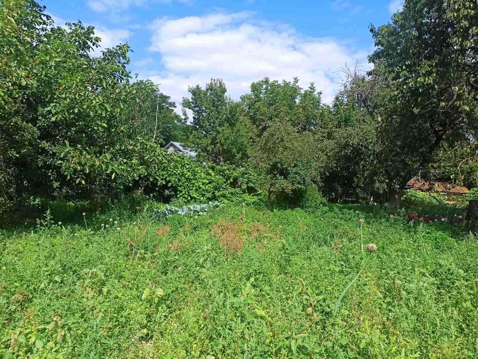 Продам будинок в с.Городище, 60с землі 5827